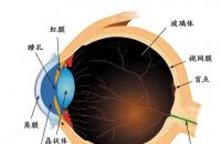 视力矫正手术价格及副作用介绍